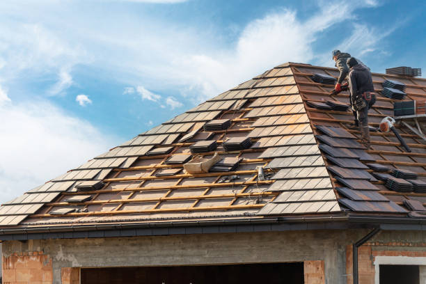 Professional Roofing services in Rineyville, KY